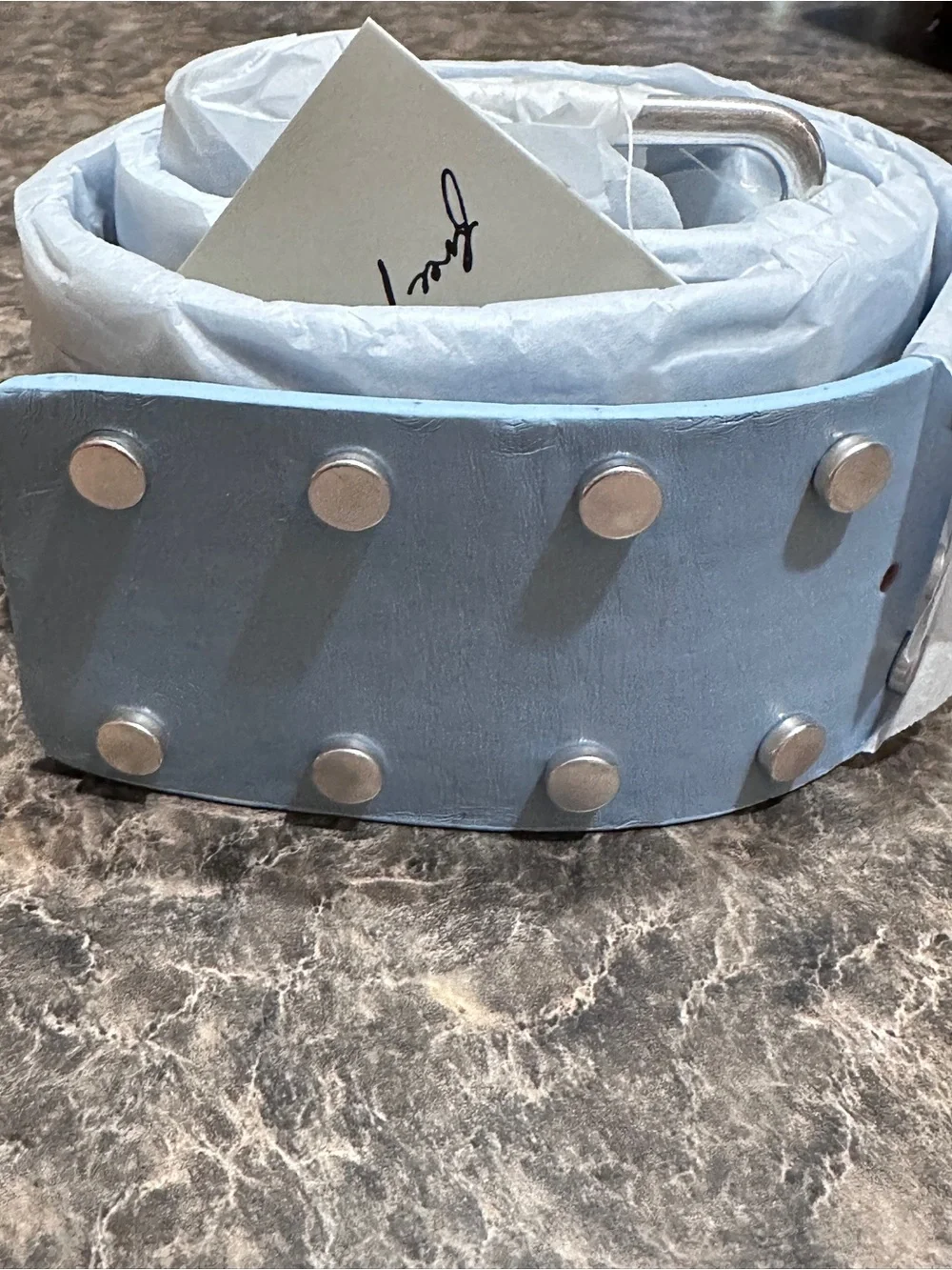 NWT Free People Hex Hip Belt in Salt Water